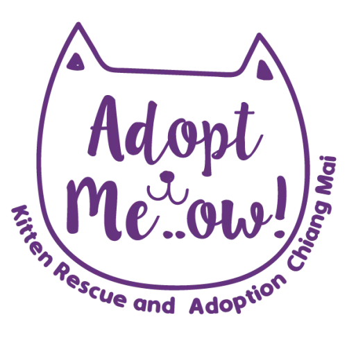 Adopt Meow icon
