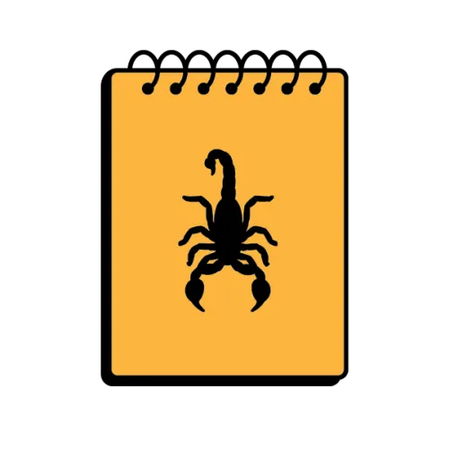 The Border Chronicle icon