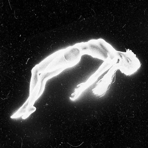 Rabbit Holes icon