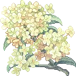 鍵俠芯芯子 icon