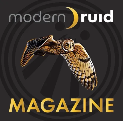 Modern Druid Magazine icon