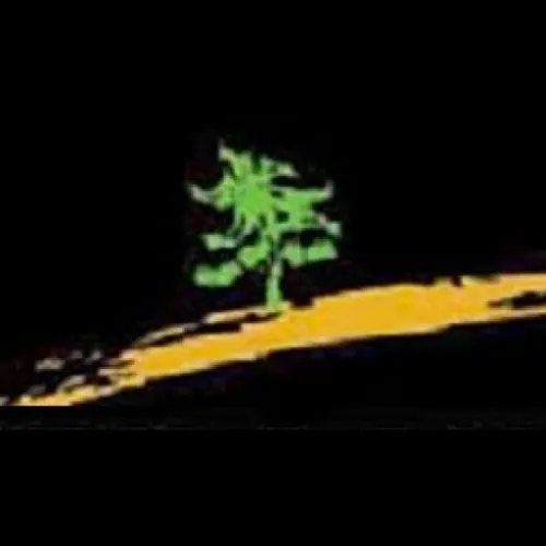 Shimizu Landscape Design icon