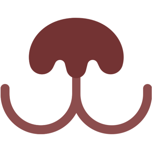 Trufitas icon