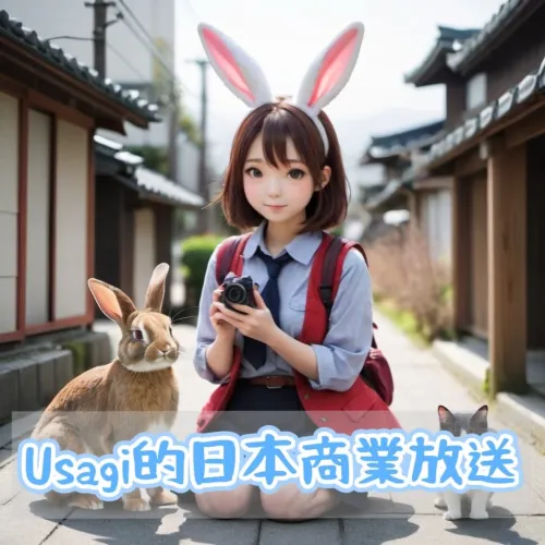 Usagi 的日本商業放送 icon