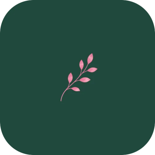 VeriNourish icon