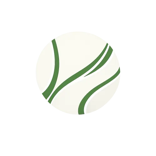 The Morning Ace icon