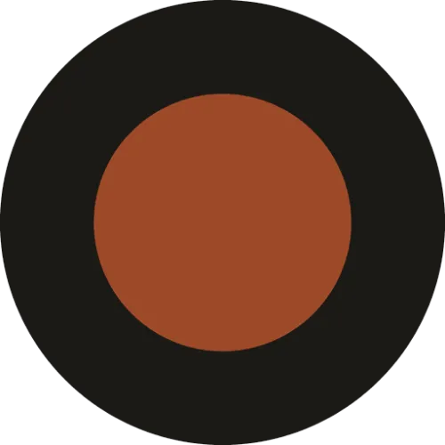Dang Journal icon