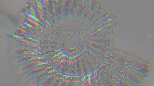 The Ocean Archives icon