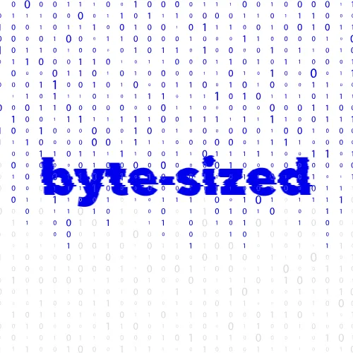 Byte-Sized icon