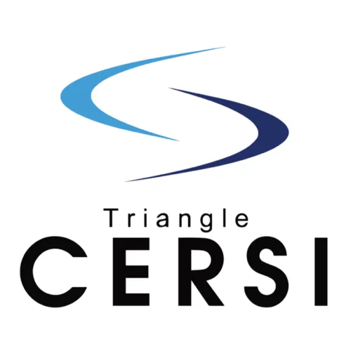 Triangle CERSIverse icon