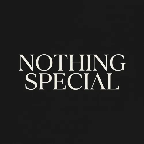 Nothing Special icon