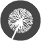 xqueje icon