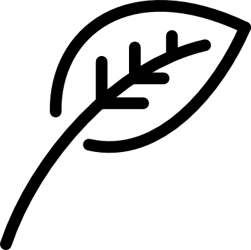 folium learning icon