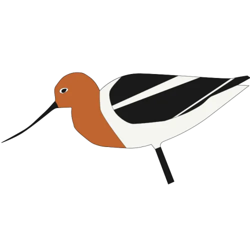 Avocet Coffee icon