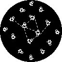 William Wallace, Ph.D. icon