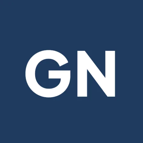 GN Consulting icon