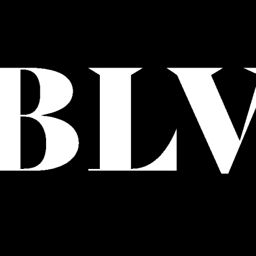 Black Labs Ventures icon