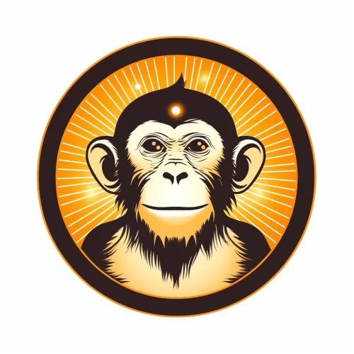 Shreyas Nallandigal's icon