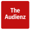 SEO For Startups - The Audienz icon