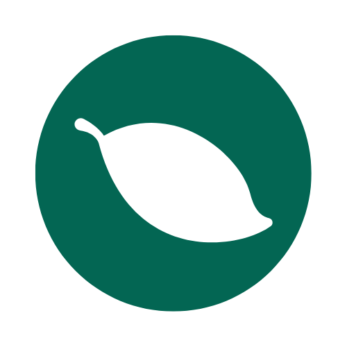 Épinard icon