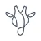 Marula Hill icon