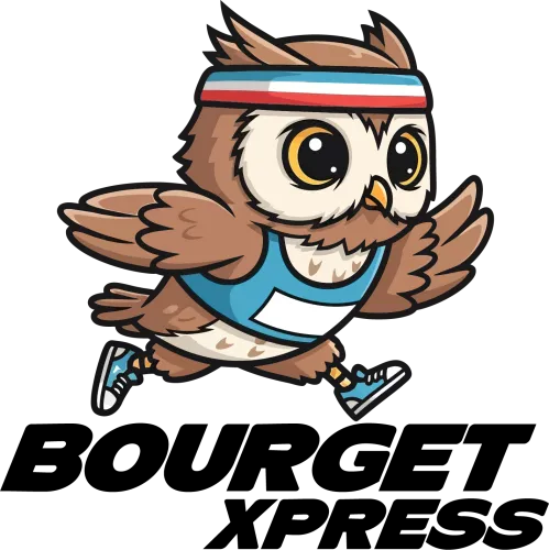 Actualités de la Bourget Xpress icon