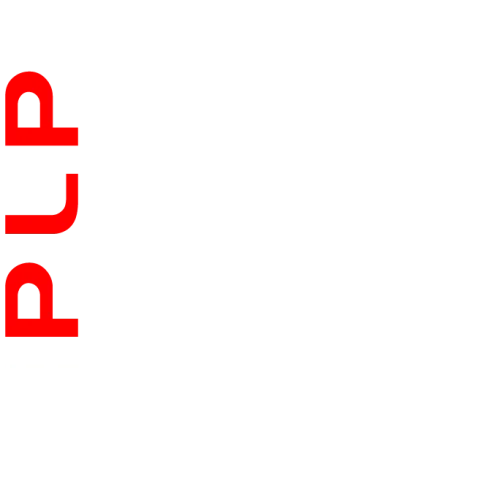 plp.GTR // icon
