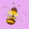 BeauteBee  icon
