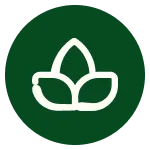 zeenv icon