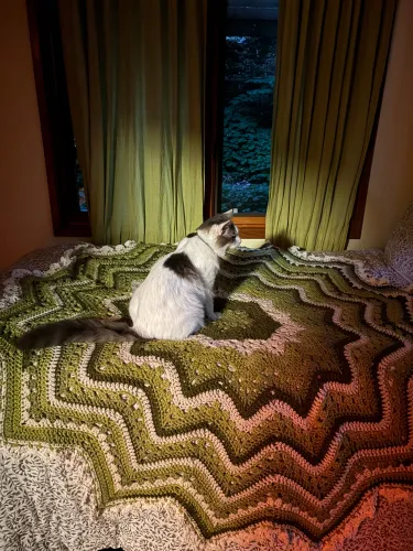 Weaving In Ends icon