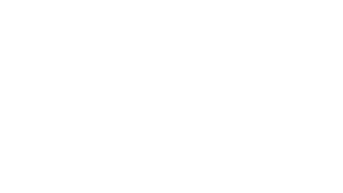 Severin Finance icon