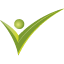 Vizo Financial icon