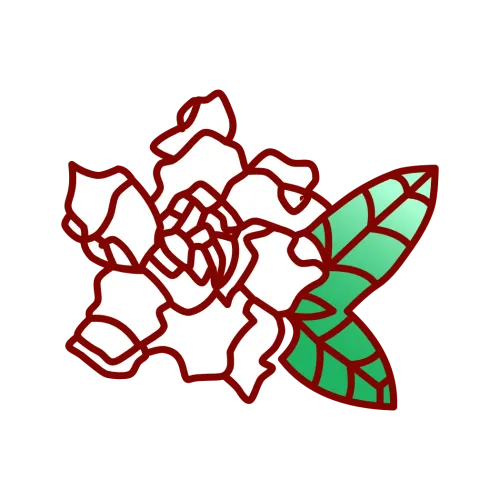 Executive Care Landscape icon