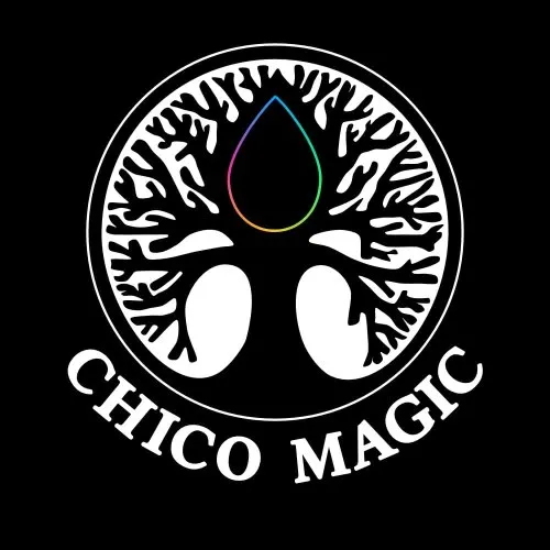 Chico Magic icon