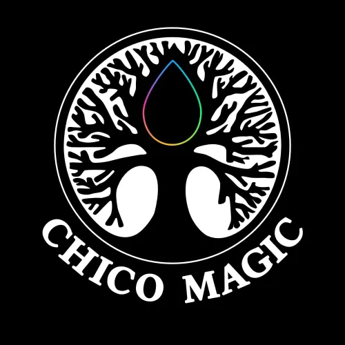 Chico Magic icon