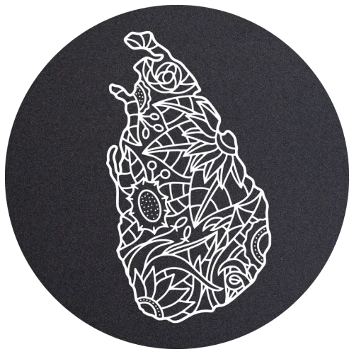 Wonders of Ceylon icon