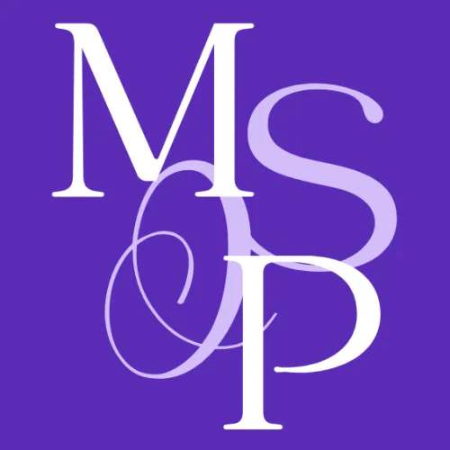 Making Sense of Politics icon