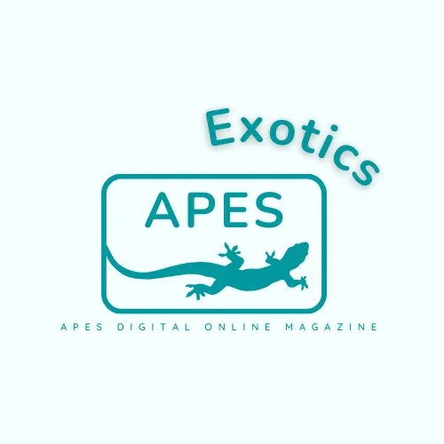APES Exotics Magazines icon