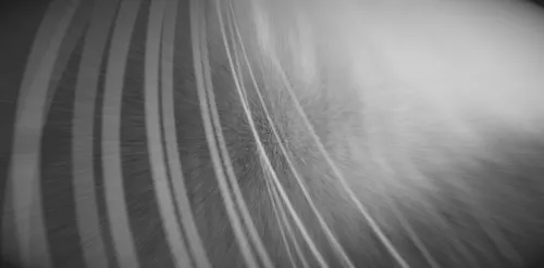 Cats Love Muslims icon