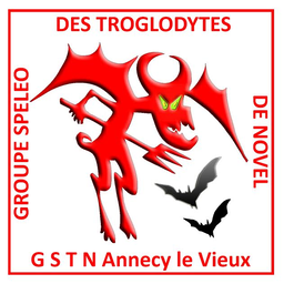 GSTN icon