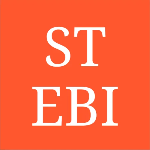 Stebi icon