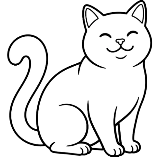 Socks N Jeans icon