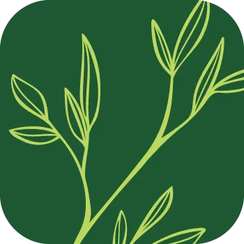 Life is a Sacred Text icon