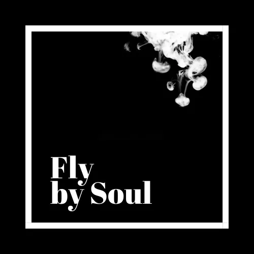 FlyBySoul icon