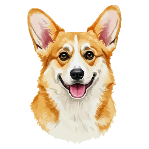 Corgi Companion icon