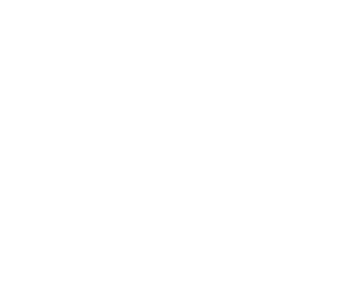 Irvidas.Com icon
