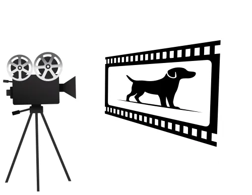 CineHunden icon