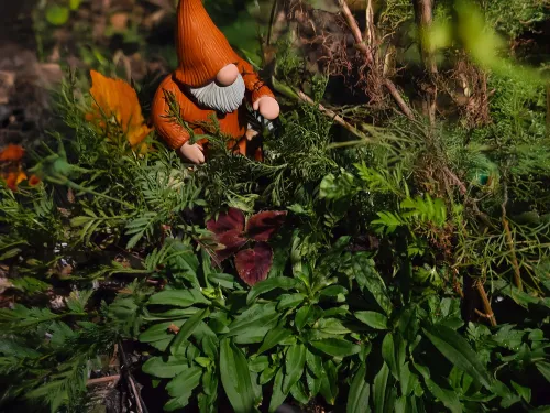 The Dabble Diaries icon