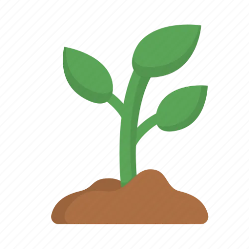 Toni Miquel - Second Brain icon