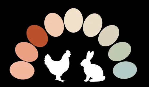 Rainbow Eggs Farm LLC - Registered ARBA/IAGARB member icon